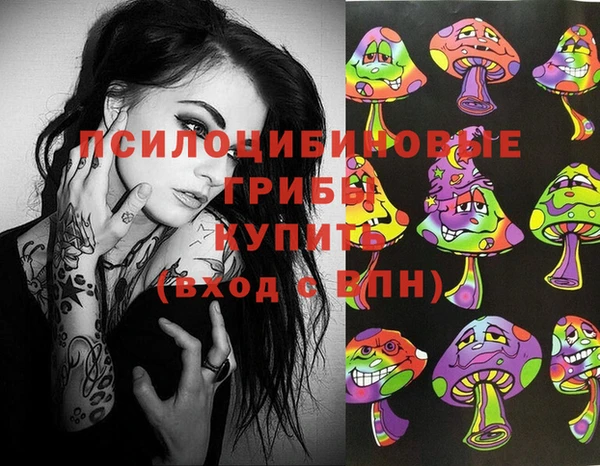 героин Михайлов
