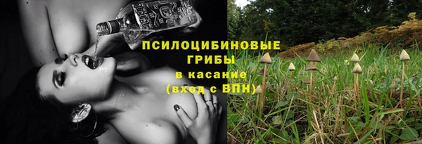 мяу мяу мука Михайловск