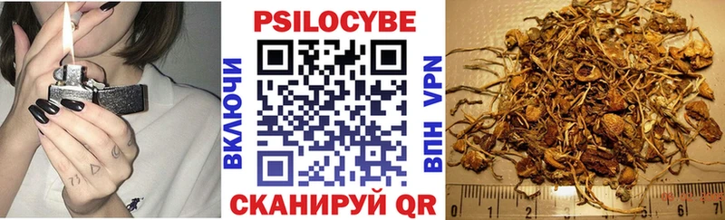 Псилоцибиновые грибы мухоморы  Купить  Заречный 